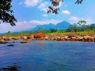 Jual Tanah Kavling Desa Wisata Alam Puncak 2 Bogor Murah