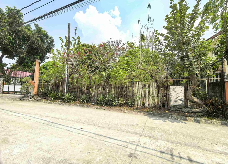 Bales Residence, Mambugan, Antipolo, Rizal image 2