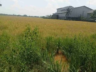 Tanah Provinsi Banten 5835m2