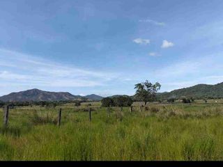 Farm Lot Property