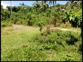 Lot for Sale