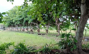 Di Jual Tanah area pantai sanur Bali