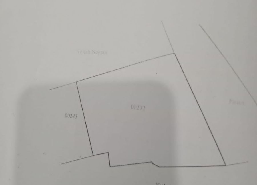 place photo 25