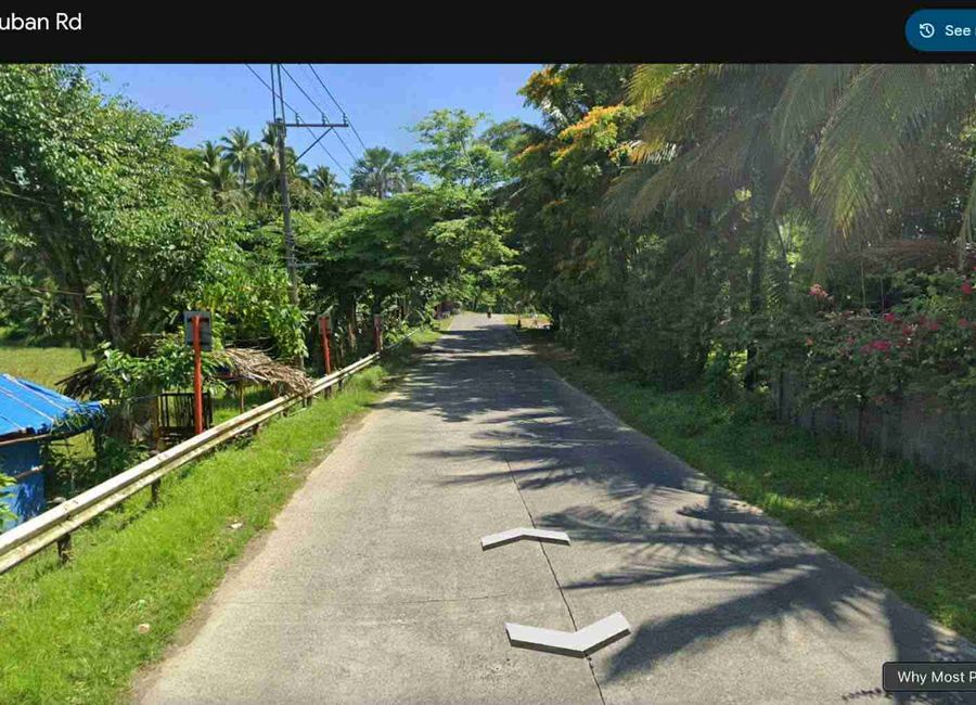 Gomez Street, Soledad, Poblacion, San Lorenzo, Mauban, Quezon image 2