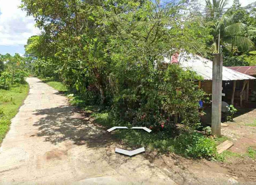 Gomez Street, Soledad, Poblacion, San Lorenzo, Mauban, Quezon image 3
