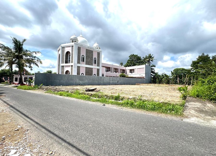 place photo 8