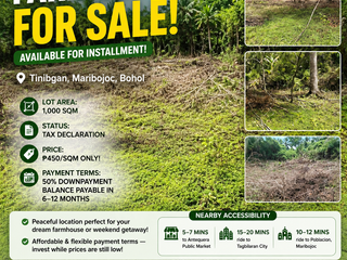 1,000sqm- FarmLot For Sale in Brgy. Tinibgan, Maribojoc, Bohol