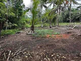 FarmLot For Sale in Brgy. Tinibgan, Maribojoc, Bohol