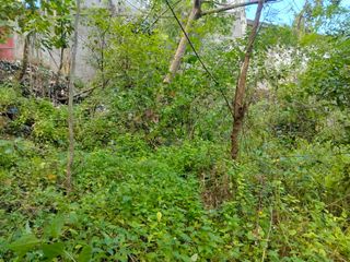 850sqm-LOT FOR SALE IN COGON, TAGBILARAN CITY, BOHOL