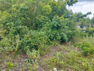 836sqm LOT FOR SALE-NEAR THE BEACH LOT FOR SALE IN LIBAONG PANGLAO BOHOL
