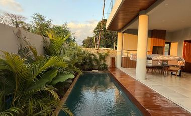 Brand New Villa Rice Field View di Munggu Dekat Seseh
