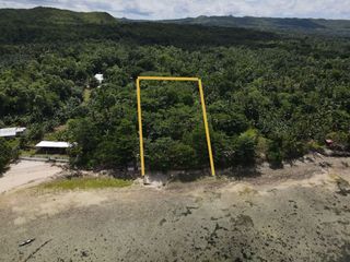 Prime Beach Land For Sale — White Sand Beachfront - Camotes Island, Cebu, Philippines