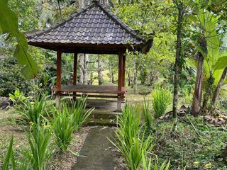 Di jual tanah kebun los sungai dengan view sawah