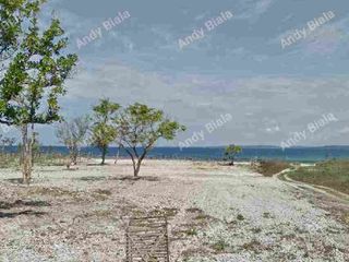 Absolute Beachfront Lot FOR SALE at Cabugao, Ilocos Sur