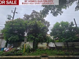 Lot For Sale BF Homes Quezon City Vacant Lot Good Deal