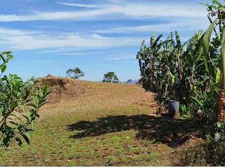 27 HECTARES TITLED LOT FOR SALE, SABLAN, BENGUET