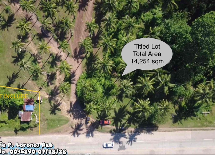 place photo 13