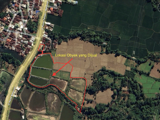 Tanah Tambak Produktif di Lokasi yang strategis Akses Langsung ke Jalan Nasiona