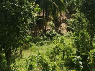 FARMLOT FOR SALE  IN MABATO CALAMBA LAGUNA