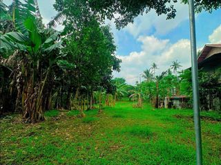 Overlooking Farm Lot with Farmhouse for Sale