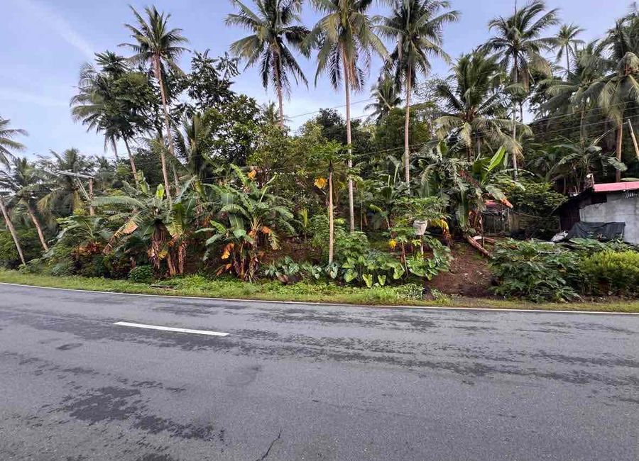 Mauban - Tignoan Road, Malapad, Real, Quezon image 2