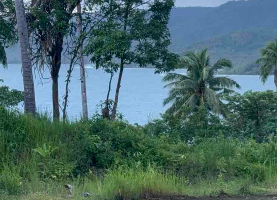 Mauban - Tignoan Road, Malapad, Real, Quezon