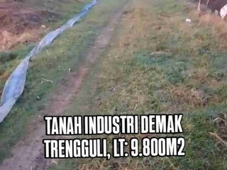 LAND FOR INDUSTRY, WAREHOUSE & FACTORY IN CENTRAL JAVA. TANAH INDUSTRI DEMAK JATENG, LUAS 9800M2