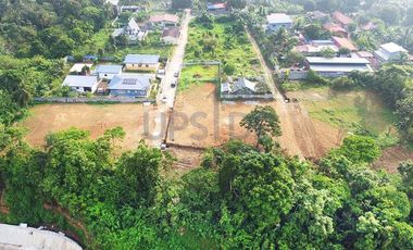 Silang Cavite Farm Lot For Sale