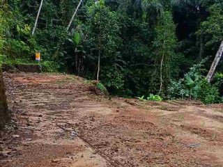 Tanah Los Sungai View Jungle di Tegalalang Ubud Bali