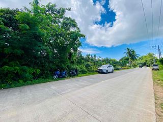 Commercial Lot for Sale Along Provincial Road in Panglao Island
