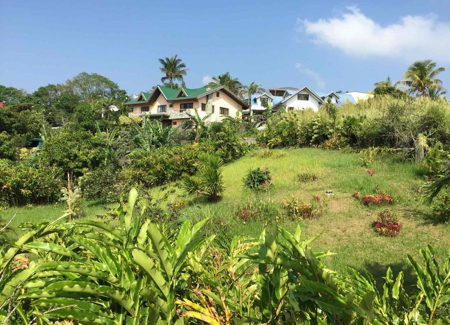 Ligaya Drive, San Guillermo, Talisay, Batangas