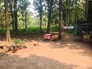 DiJual Tanah dan Kebun Pohon Jati