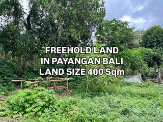Tanah Dekat Resort dan Obyek Wisata  di Payangan Gianyar Bali