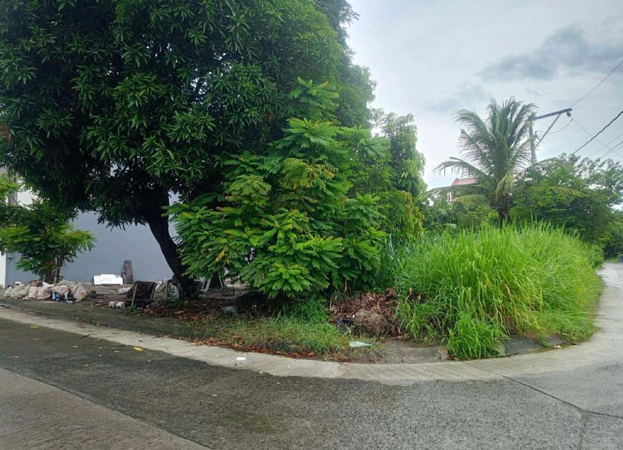 Daniel Street, MetroGate Sta. Rosa, Macabling, Santa Rosa, Laguna image 3