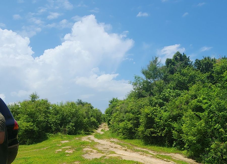 Zobel Highway, Talisay, Calatagan, Batangas image 2