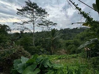 Tanah Premium Jalan Utama Tegalalang Full View Jungle