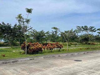 11,147sqm Industrial Lot for Sale in Cavite Technopark, Naic Cavite
