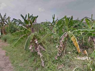 tanah matang deket ipb university bogor strategis