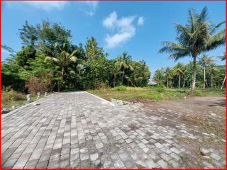 Tanah Dijual Yogyakarta Tawangsari Dekat Terminal Wates Untuk Rumah