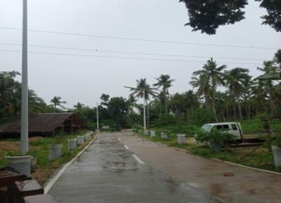 place photo 7