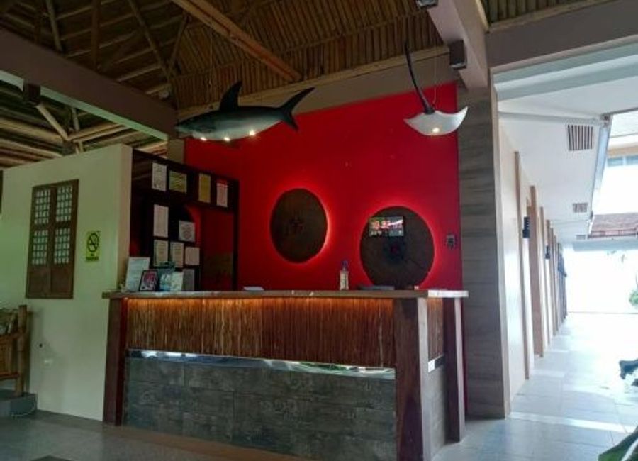 place photo 24