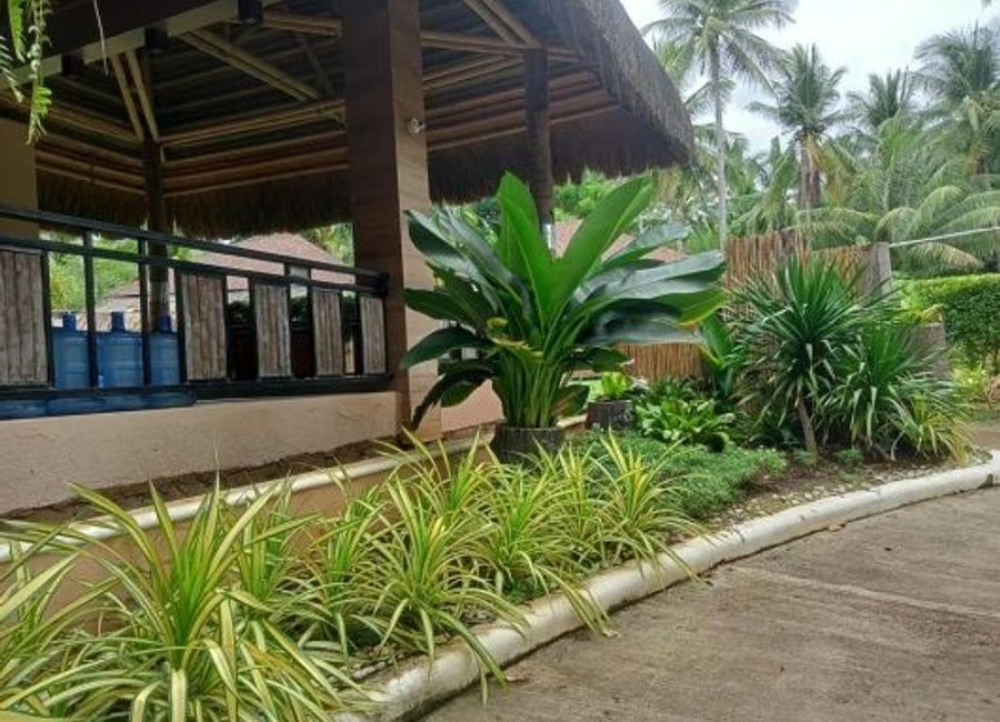 place photo 25