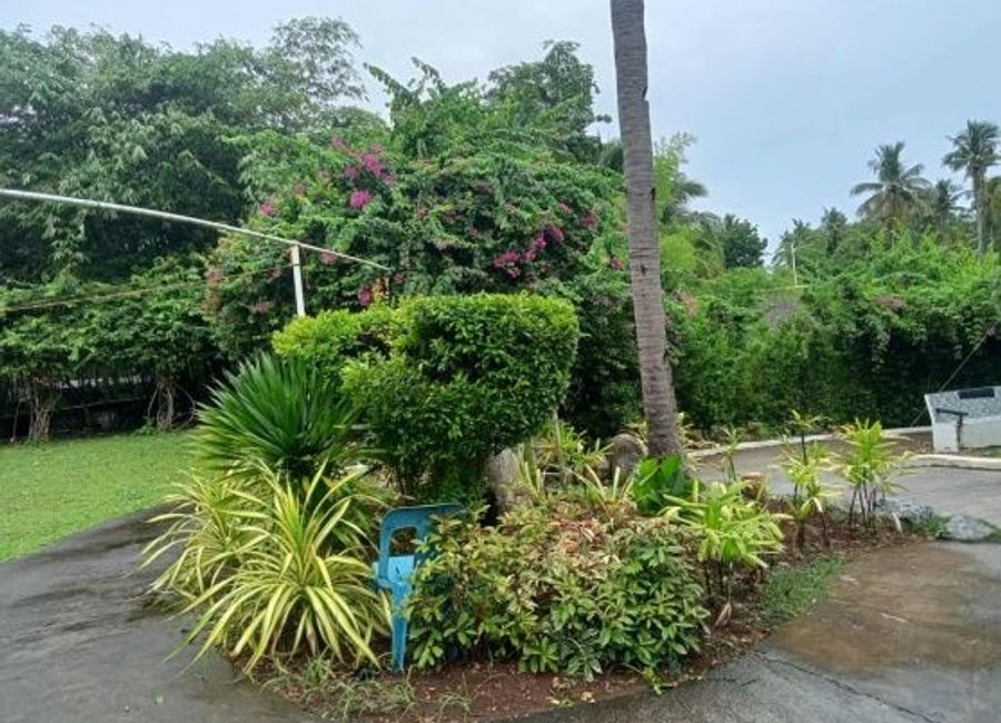 place photo 27