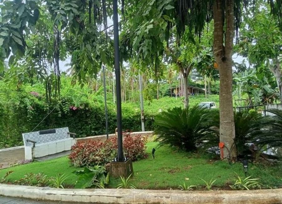 place photo 28