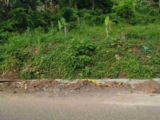 tanah 4 ha di bakung teluk barat