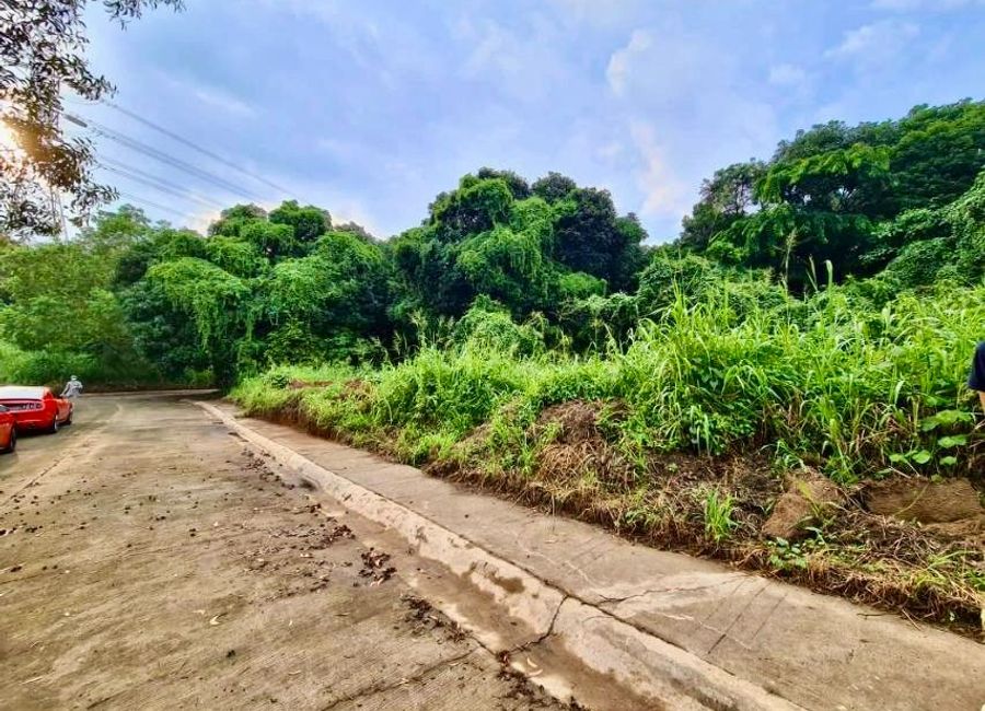 Hilldale Street, Park Ridge, Santa Cruz, Antipolo, Rizal image 3