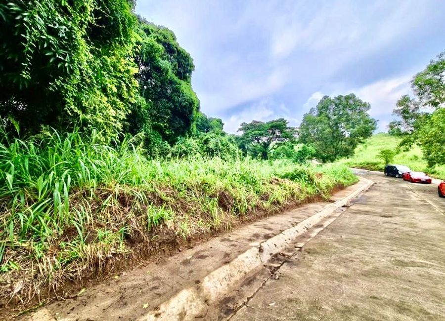 Hilldale Street, Park Ridge, Santa Cruz, Antipolo, Rizal