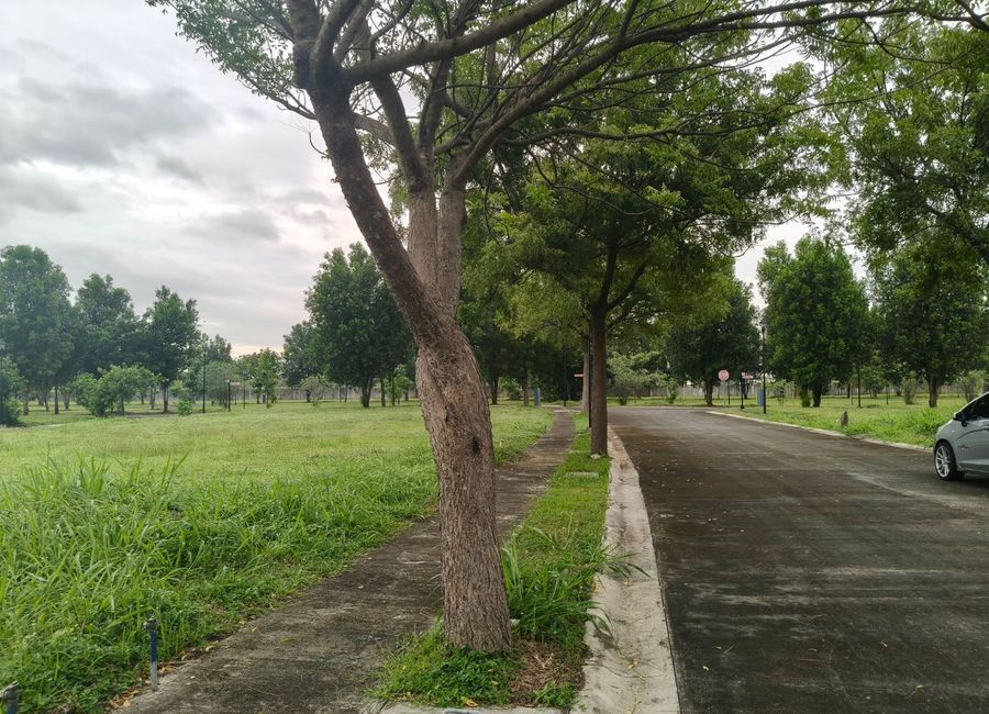 TierraBela, Don Jose, Santa Rosa, Laguna image 2