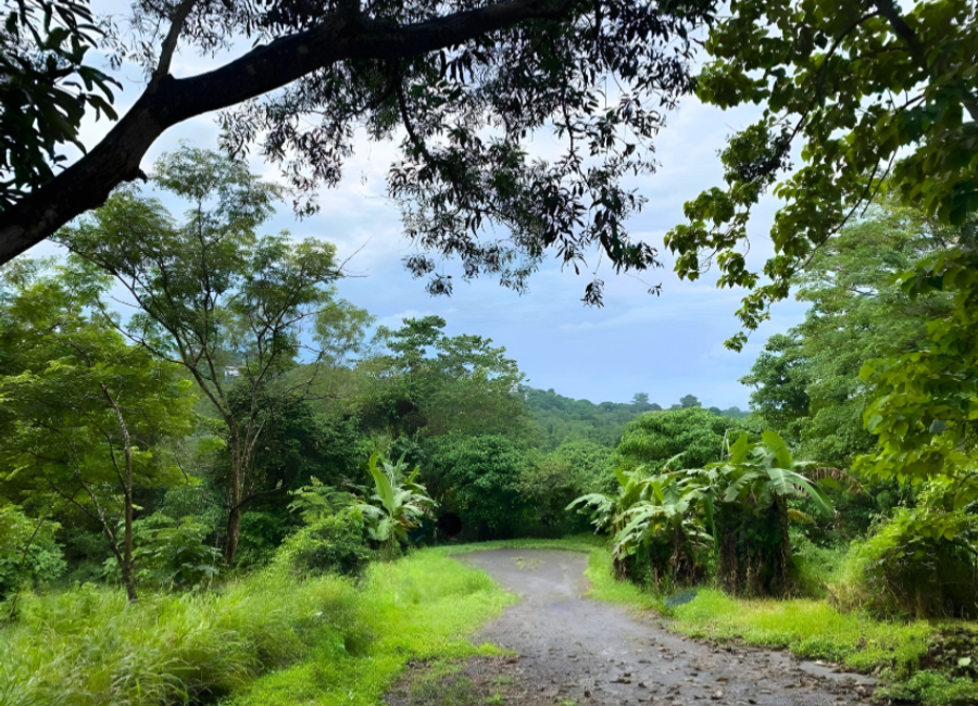 Santana Drive, Victoria Valley, Dela Paz, Antipolo, Rizal