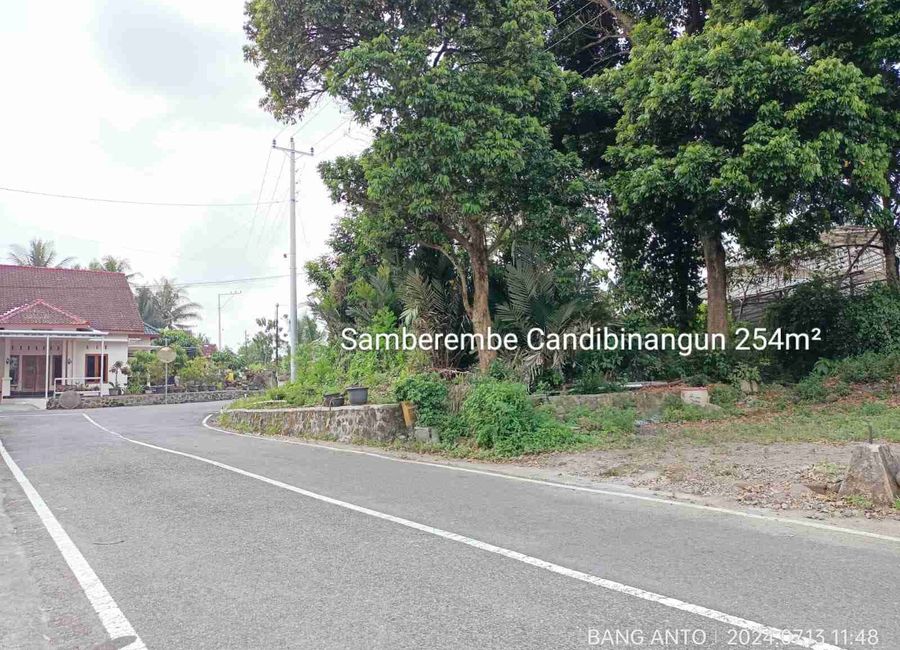 place photo 1